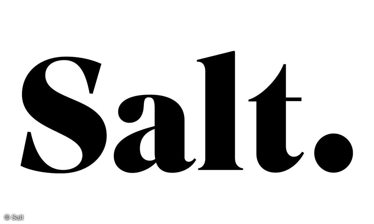 Salt Logo