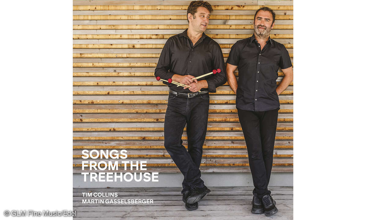 tim-collins-martin-gasselsberger-songs-from-the-treehouse-cd-cover