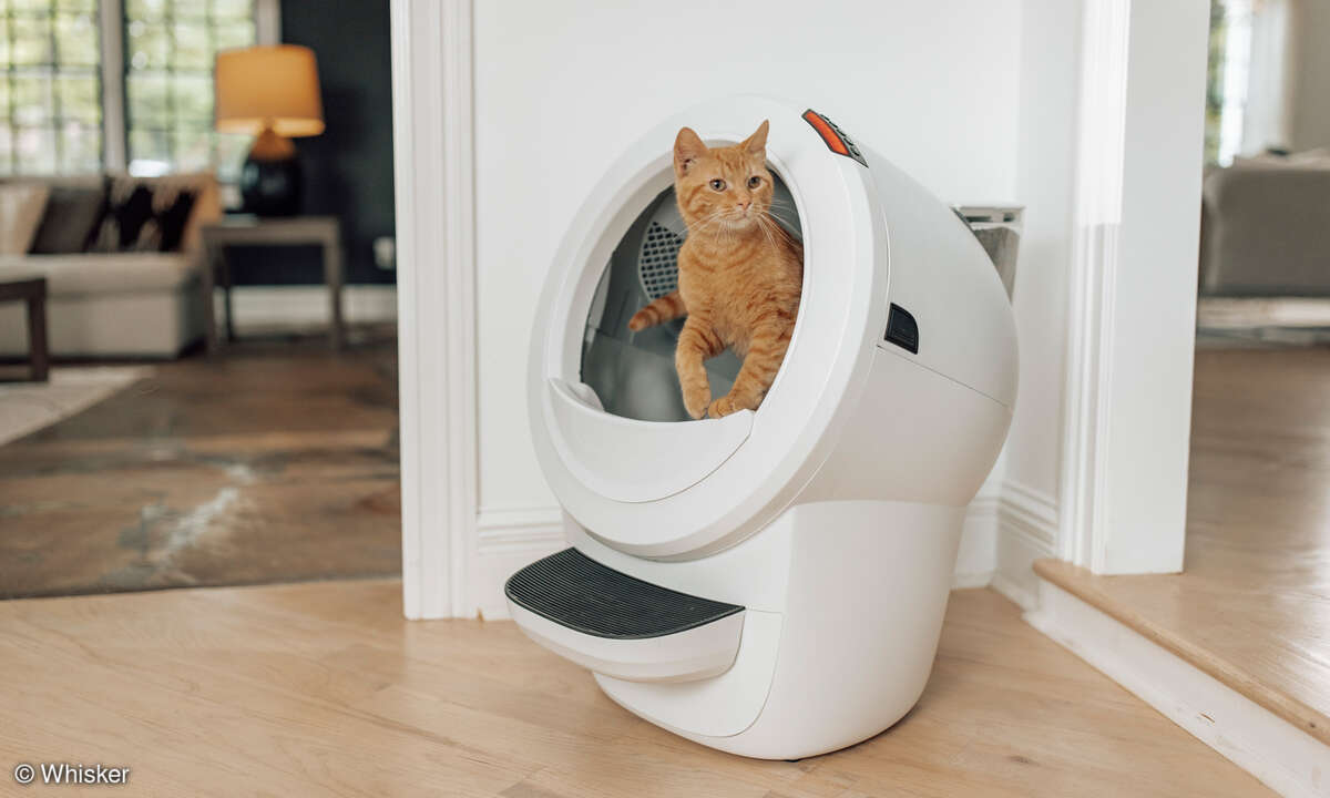 litter-roboter-lifestyle