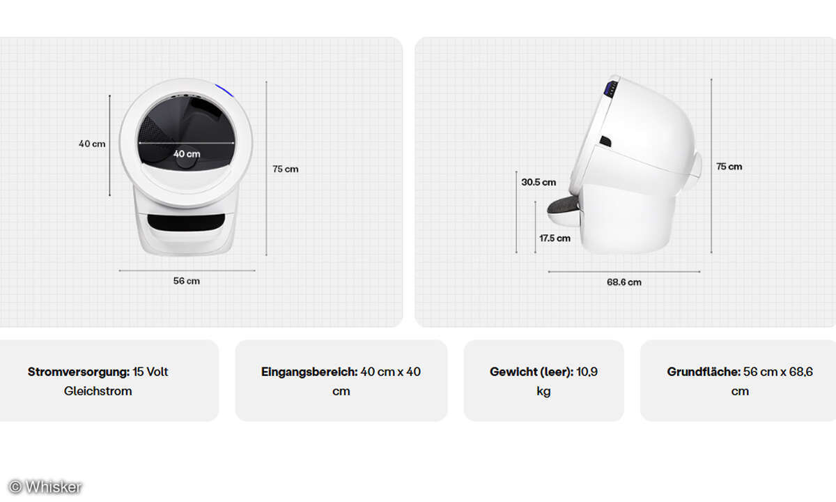 whisker-litter-masse