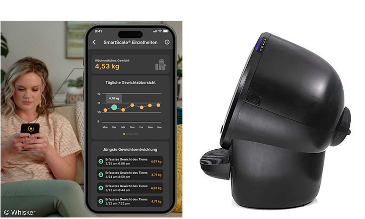 whisker-litter-seite