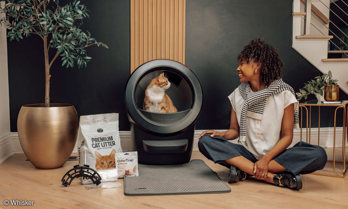 whisker-lr-4-zubehoer