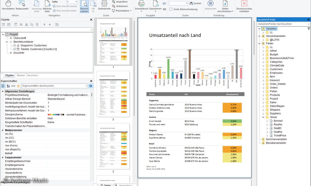 windowsreportdsigner