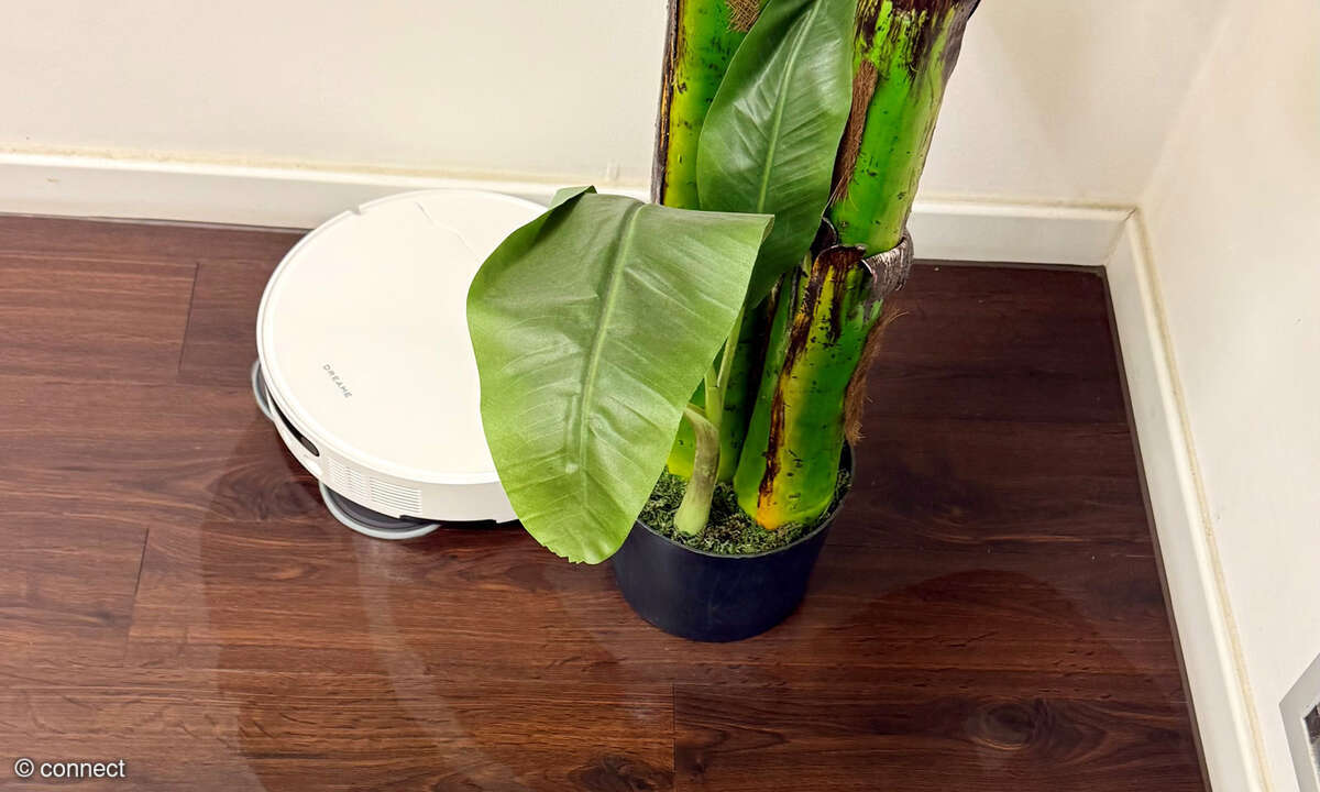 dreame-l10s-3-pflanze