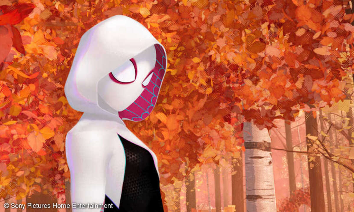 Im Spider-Man-Animationsfilm 