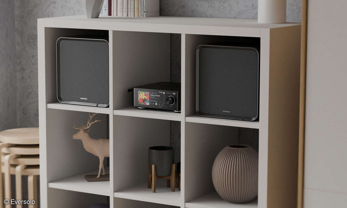 eversolo-se100-passive-2-wege-regallautsprecher-in-ikea-kallax