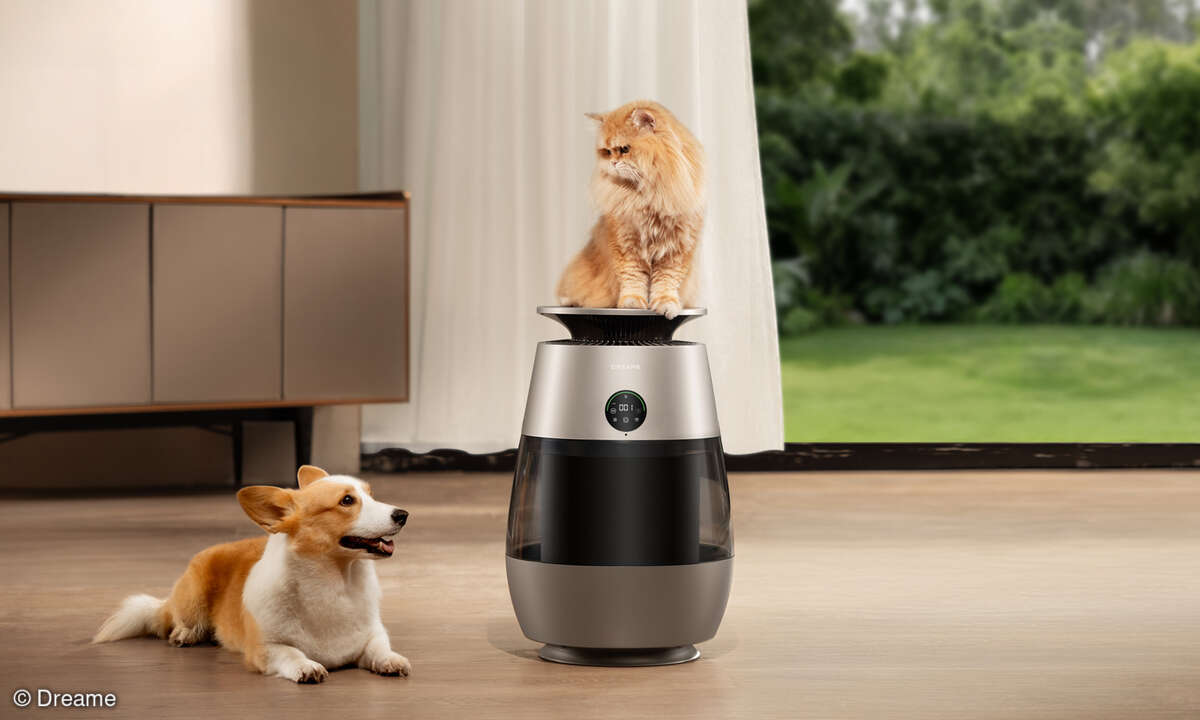 dreame-ap10-lifestyle-3