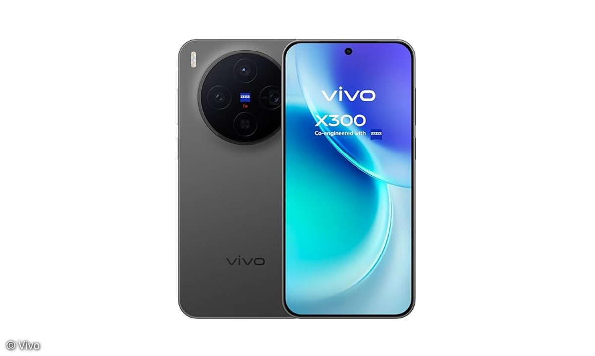 Vivo X300