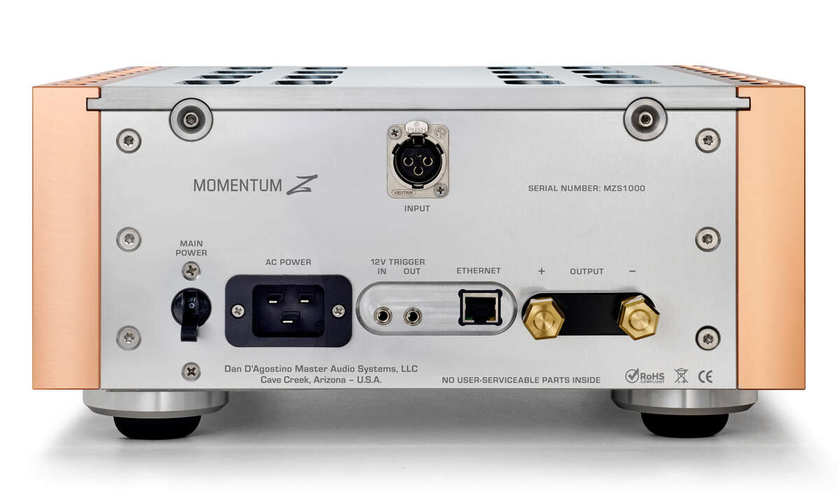 dan-d-agostino-momentum-z-monoblock-power-amplifier-rear