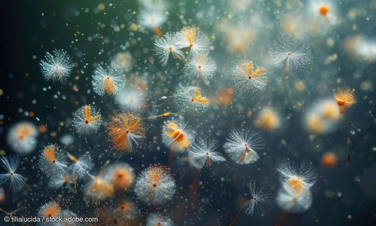 Die Pollensaison ist im Anmarsch. Was tun?