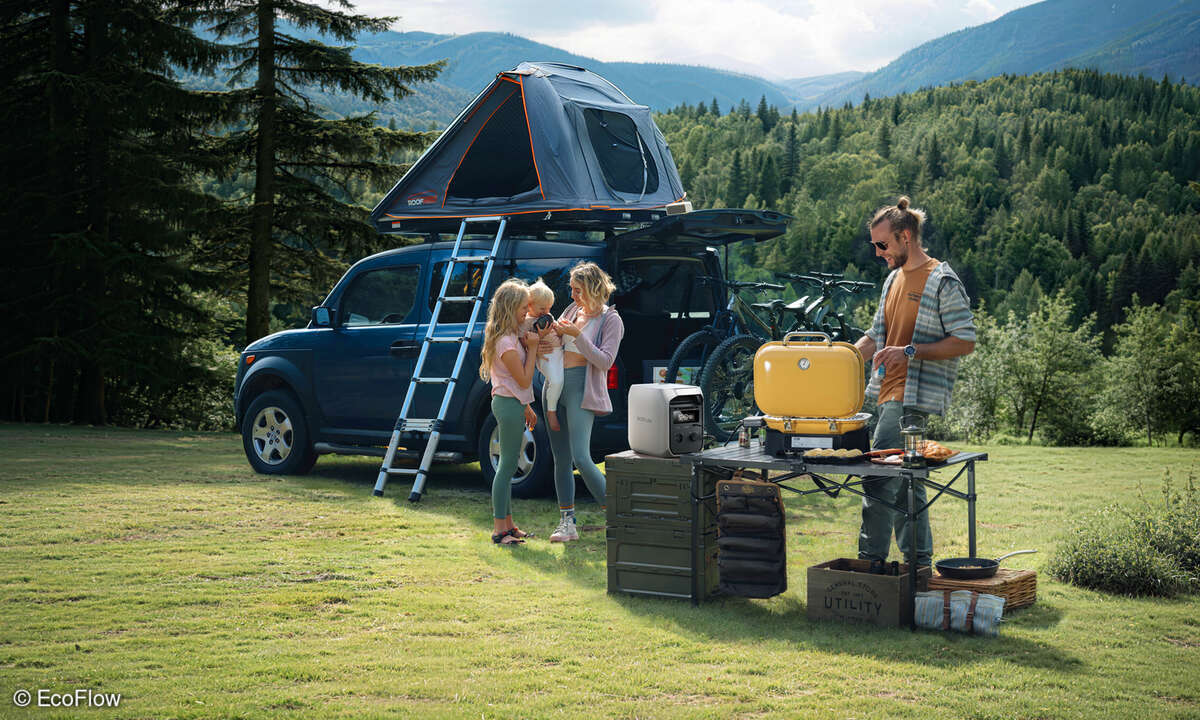 EcoFlow Delta 3 Classic