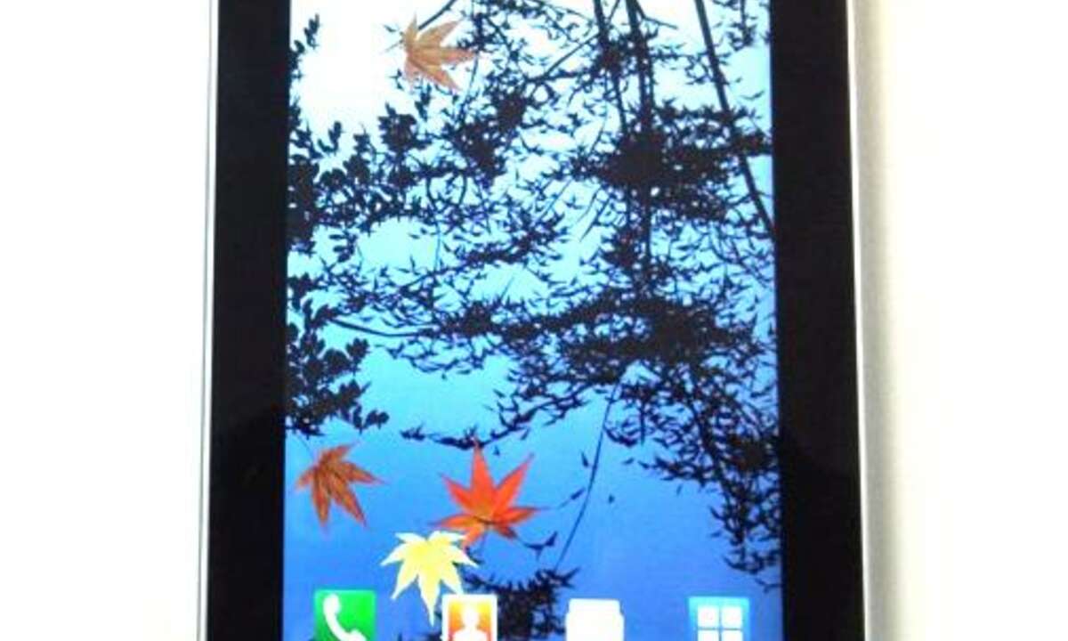 Samsung P1000 Galaxy Tab