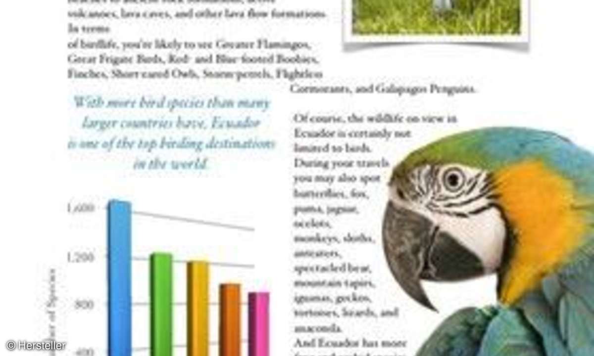 Pages, Numbers und Keynote