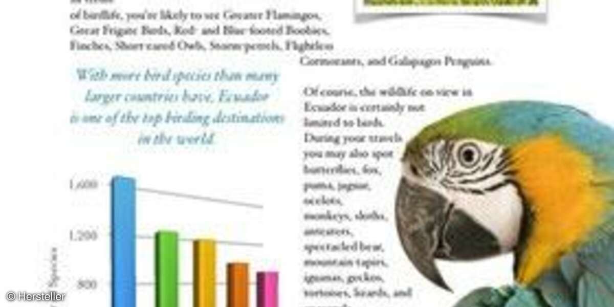 Pages, Numbers und Keynote