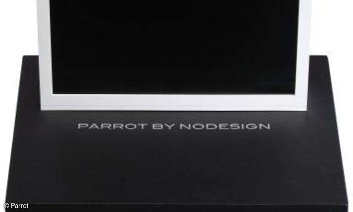 Parrot Dia