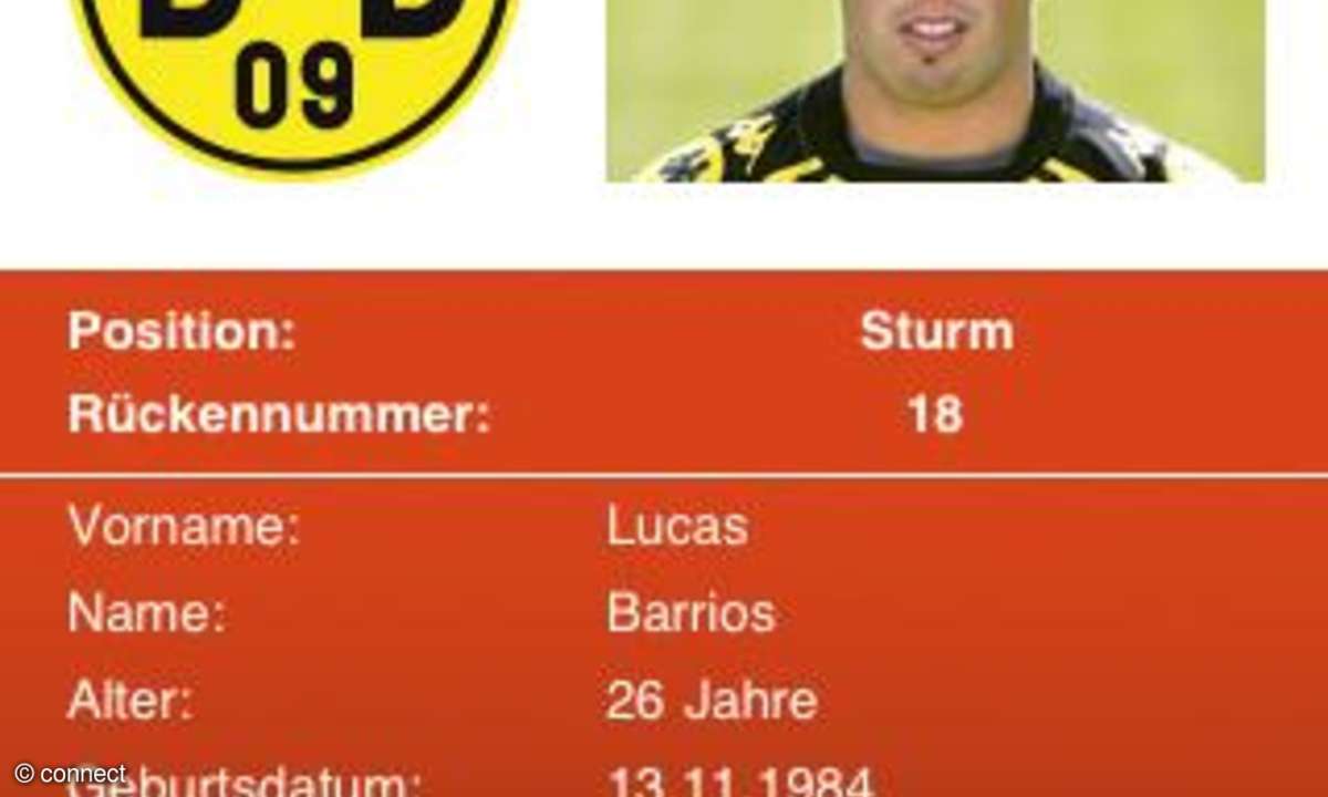 WAZ Dauerkarte Saison 2010/11