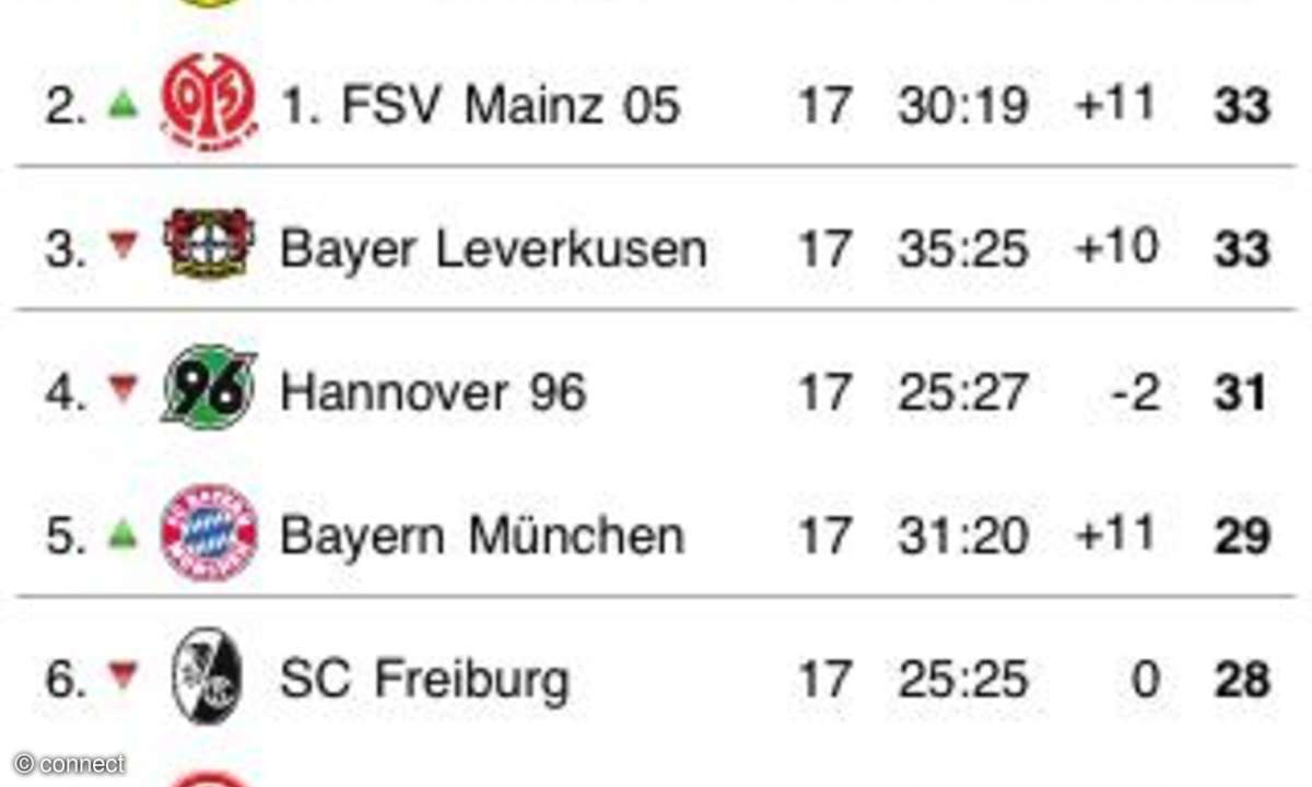 WAZ Dauerkarte Saison 2010/11
