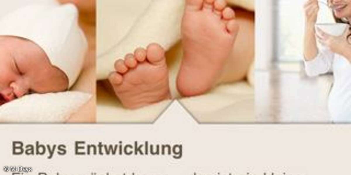 Baby in Sicht