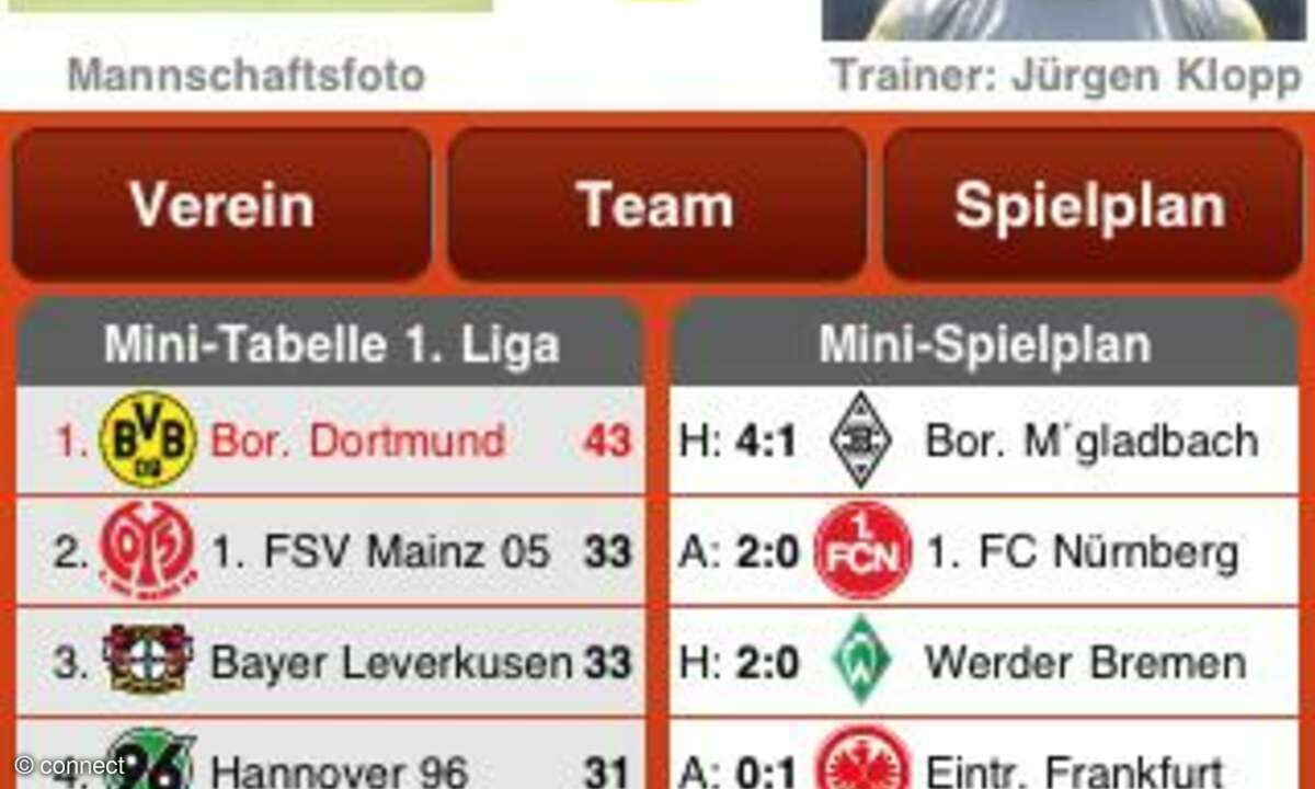 WAZ Dauerkarte Saison 2010/11