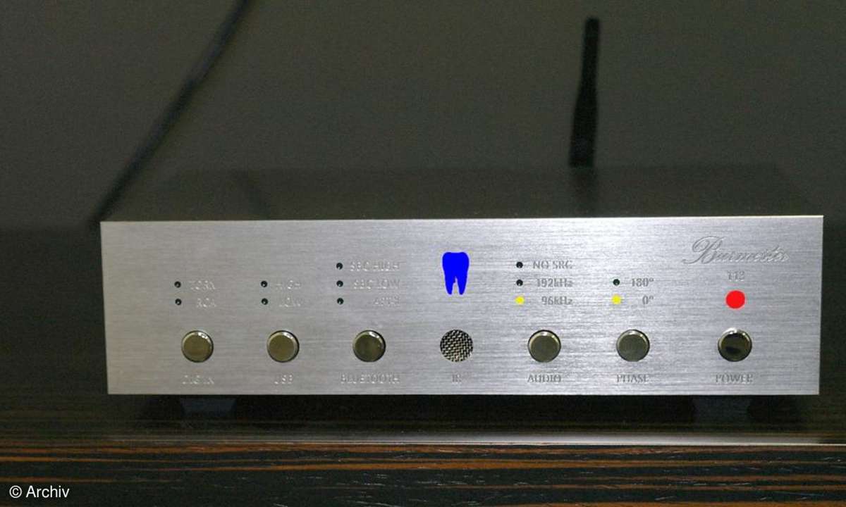Burmester 113