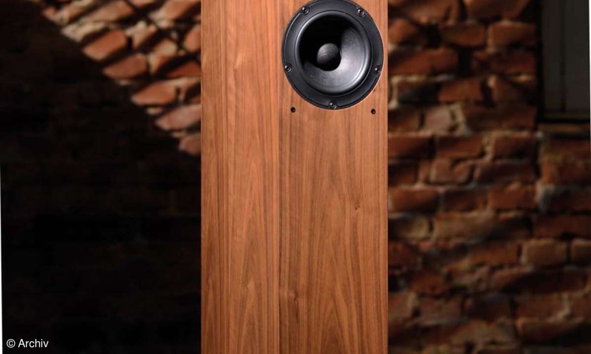 ASW Genius 310