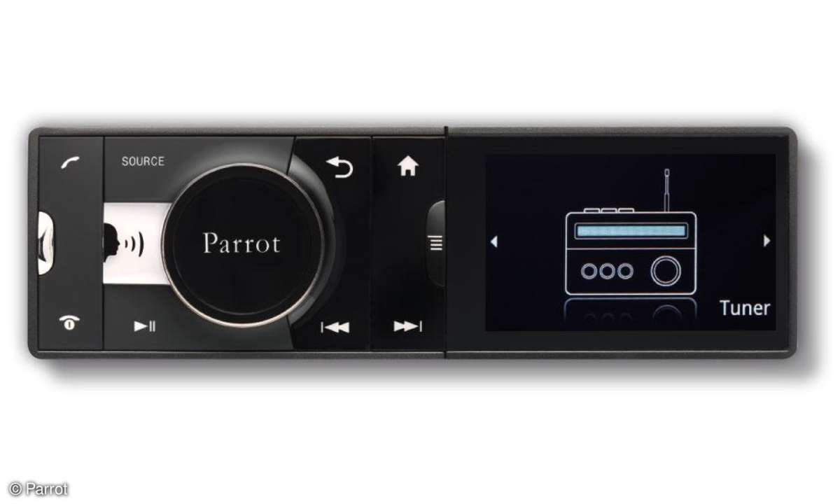 Parrot Asteroid