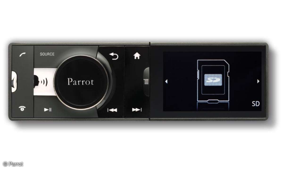 Parrot Asteroid