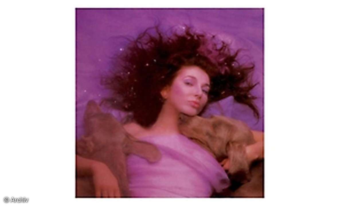 KATE BUSH Hounds Of Love