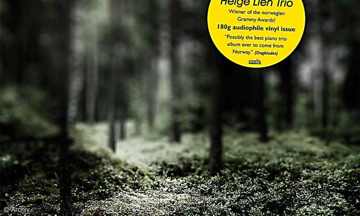 HELGE LIEN TRIO Hello Troll