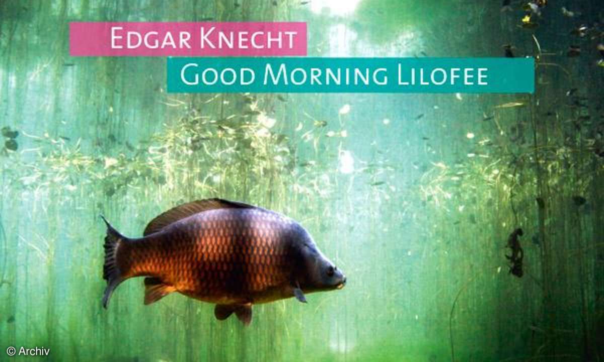 EDGAR KNECHT Good Morning Lilofee
