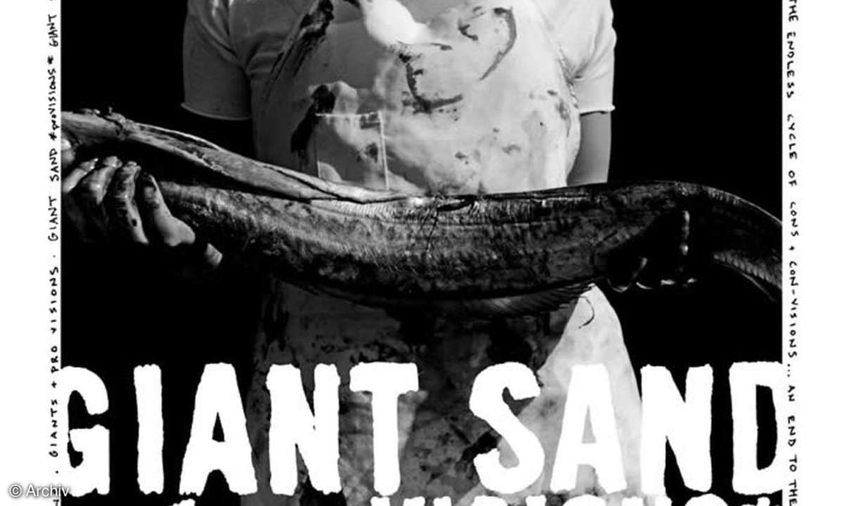 GIANT SAND Provisions