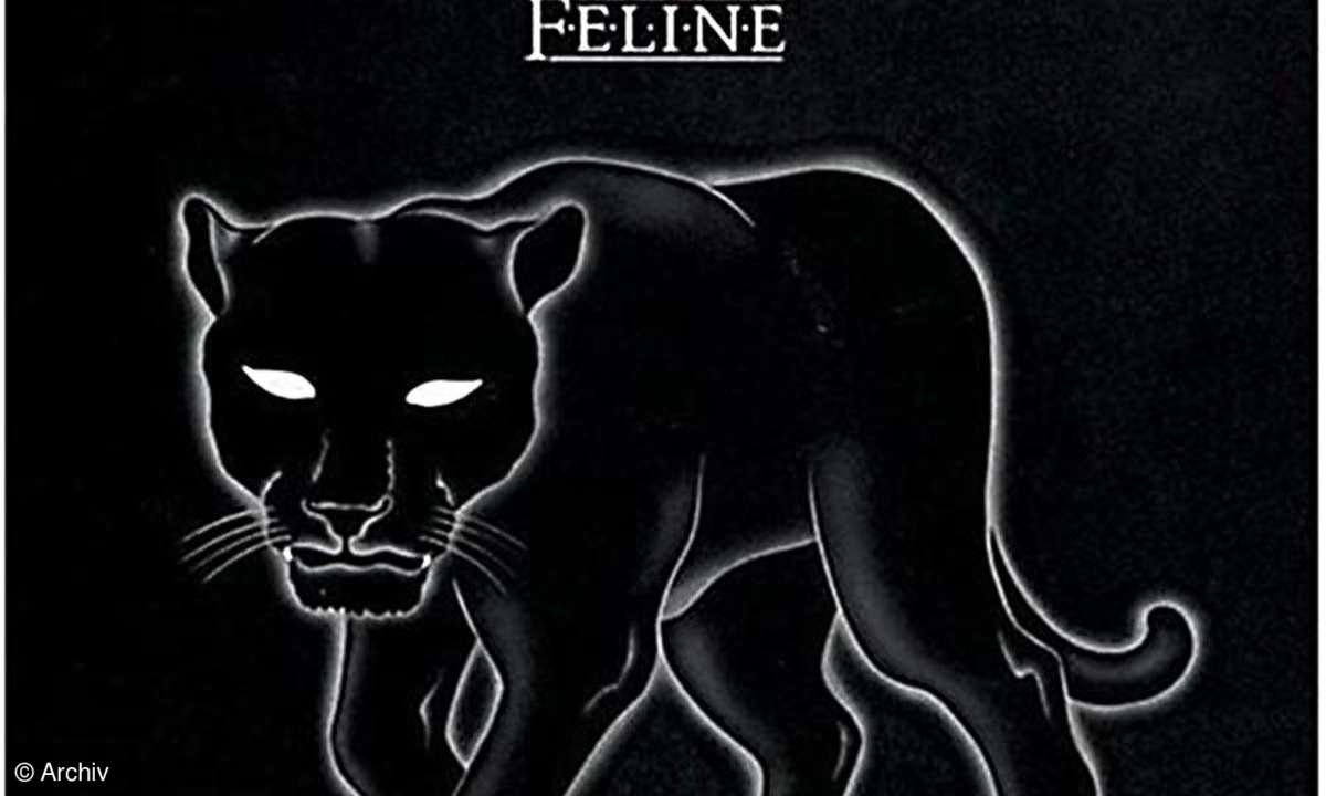 THE STRANGLERS Feline
