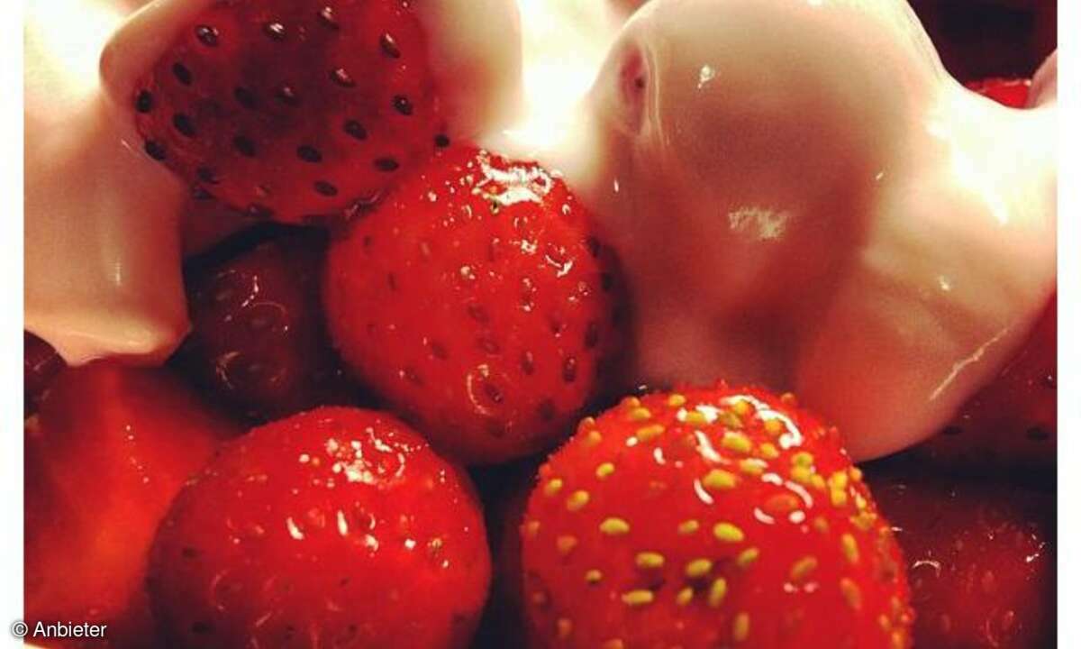Instagram App