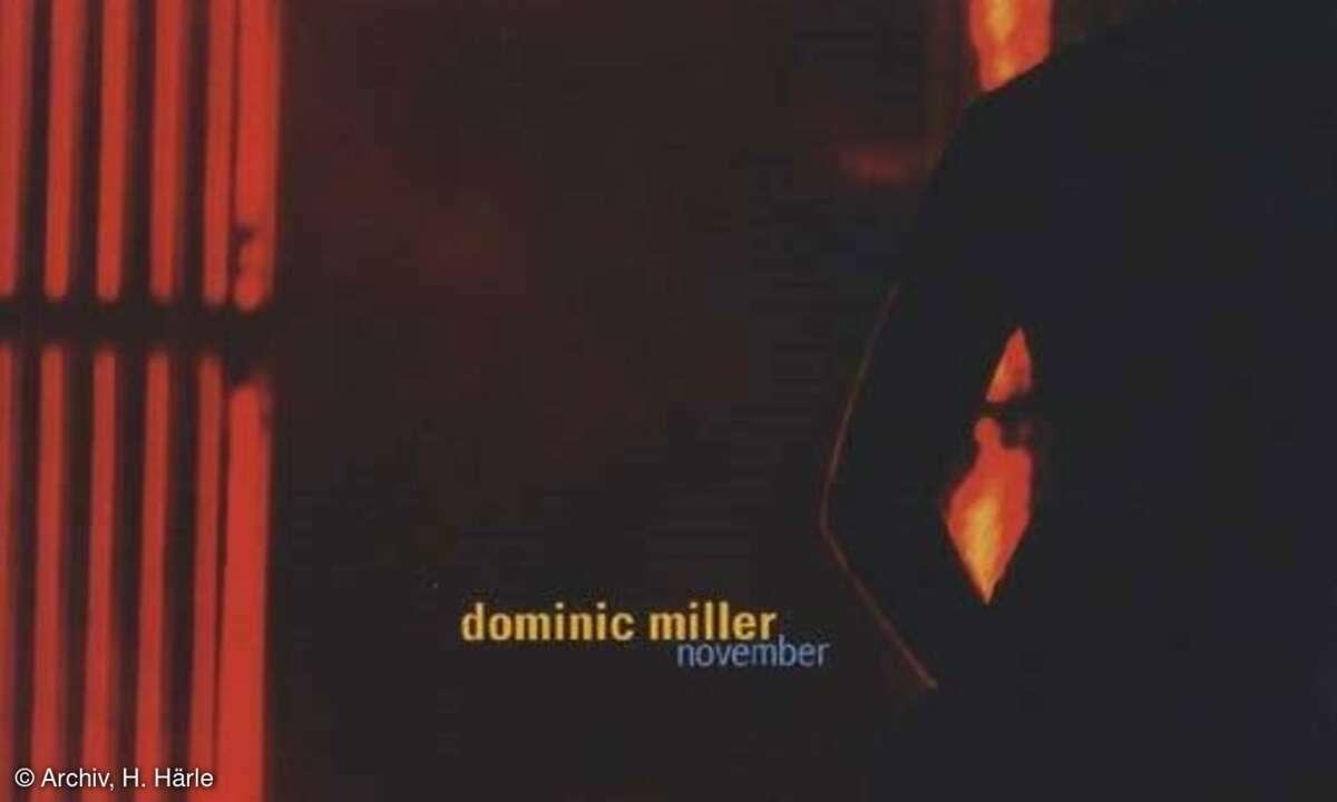 Dominic Miller November