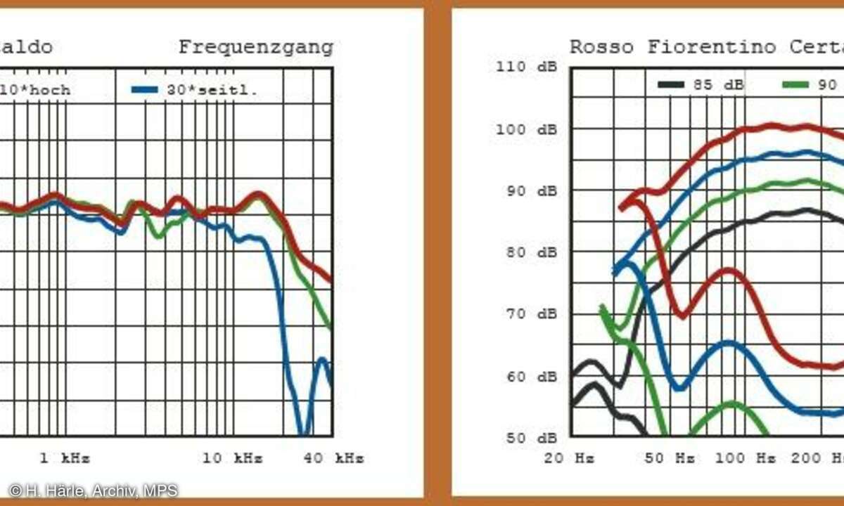 Rosso Fiorentino Certaldo