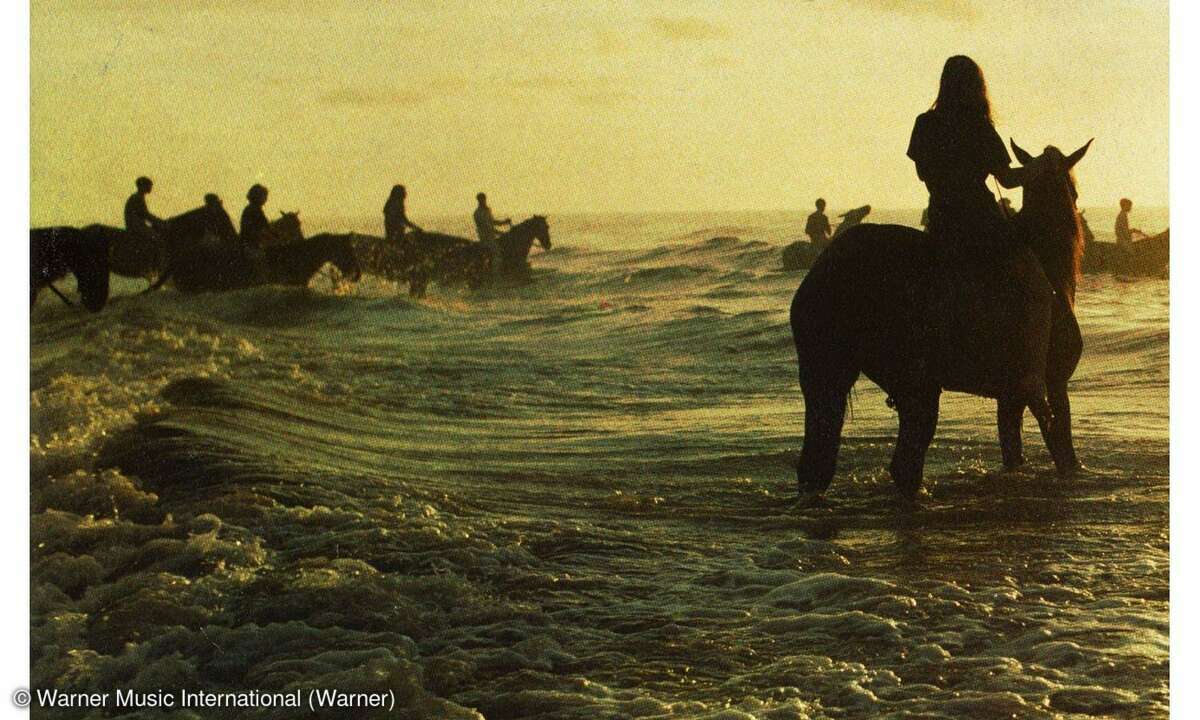 Foals 