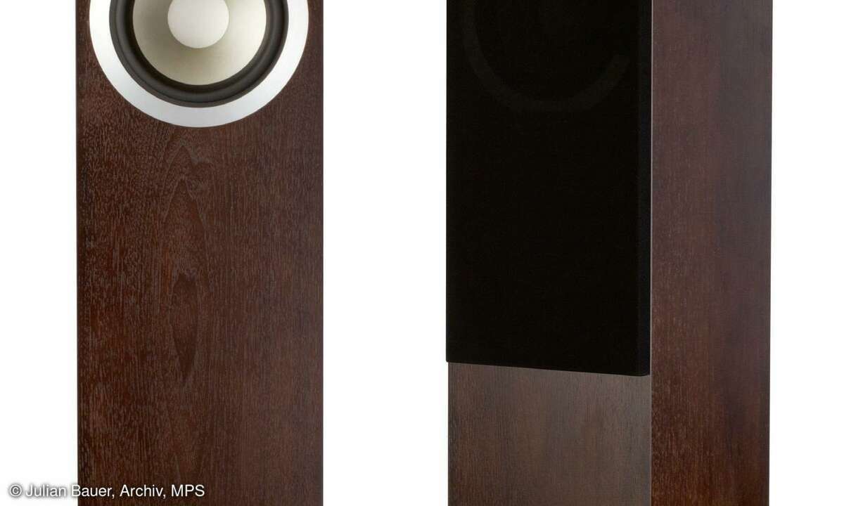 Tannoy Revolution DC6 T SE