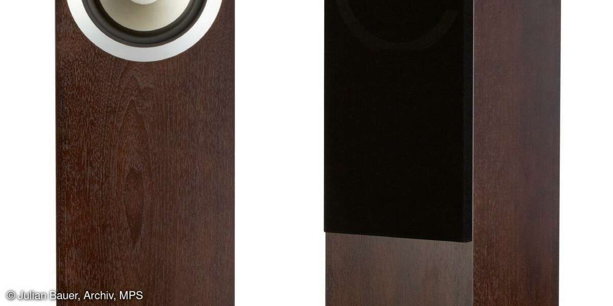 Tannoy Revolution DC6 T SE