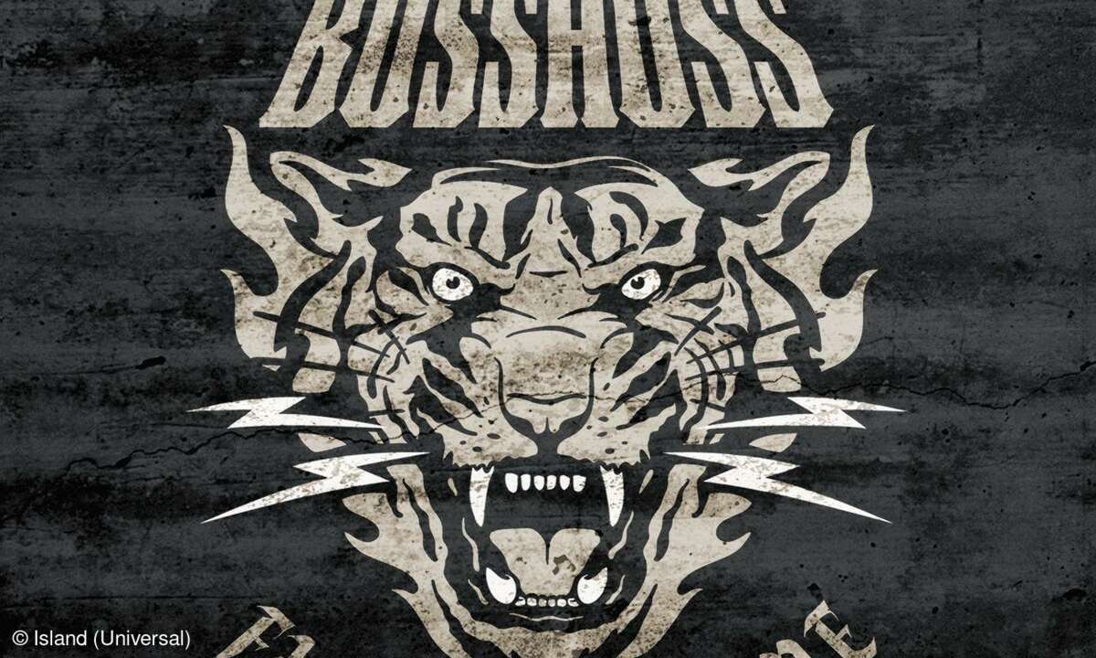 The Bosshoss