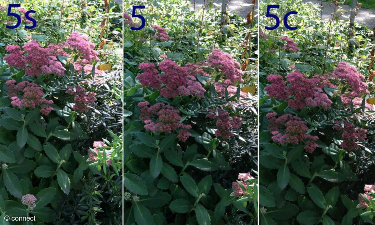 Foto, Kamera, iPhone 5cs, 5c, 5