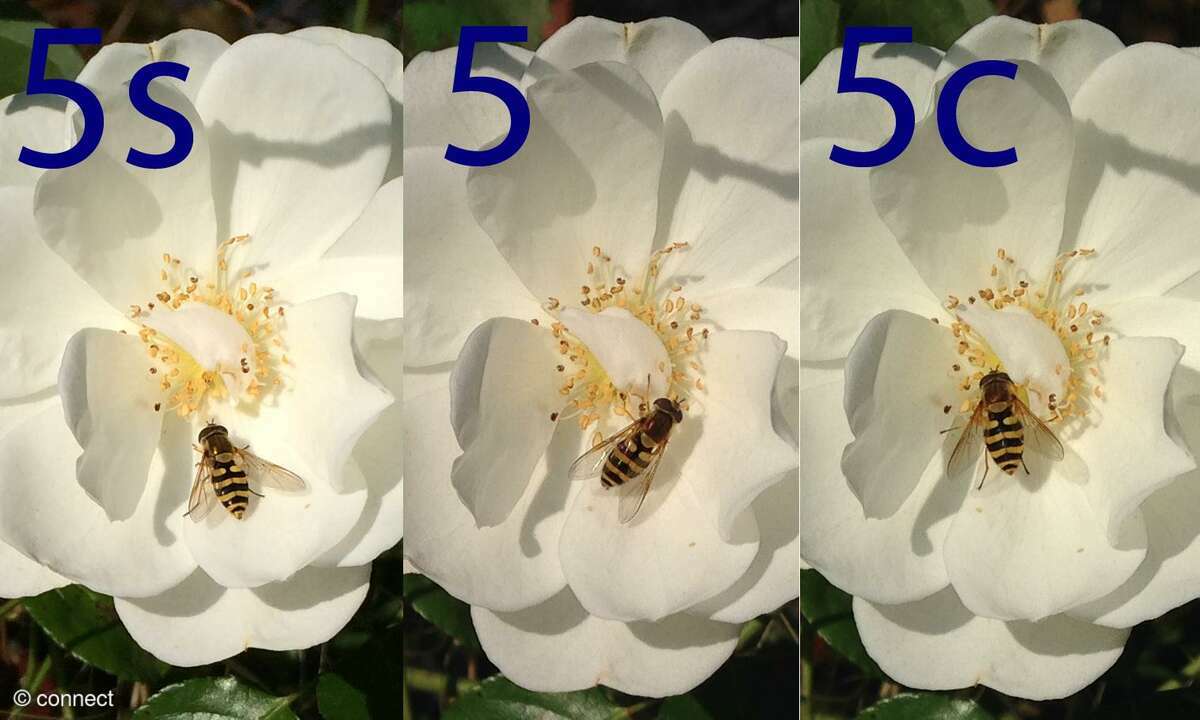 Foto, Kamera, iPhone 5cs, 5c, 5