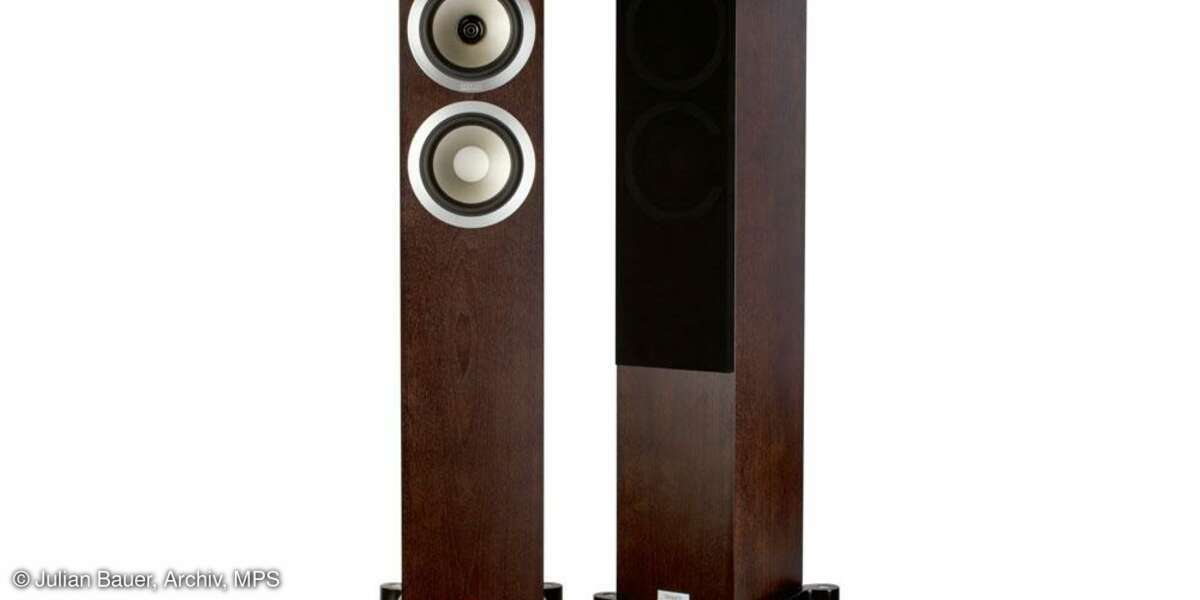 Tannoy Revolution DC6 T SE