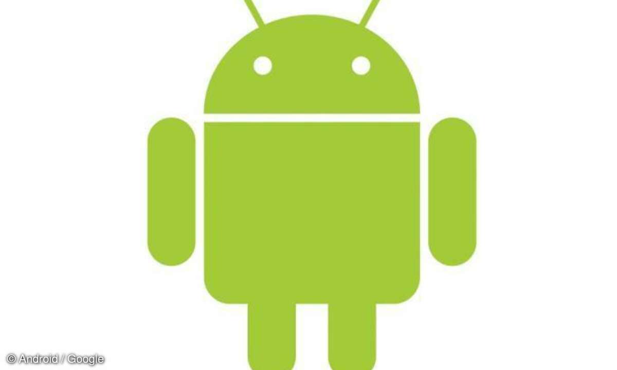 Marktforscher gehen davon aus, dass 2013 Android-Tablets die iPads von Apple in den Verkaufszahlen überholen werden.