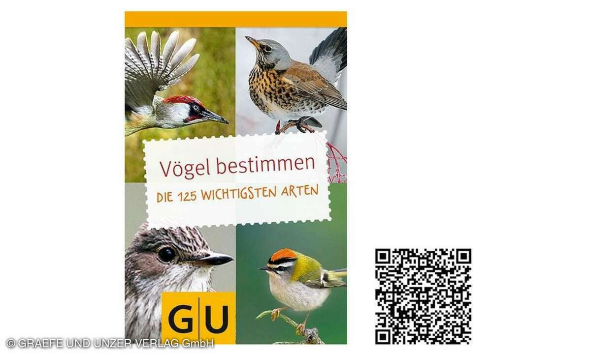 Vögel bestimmen